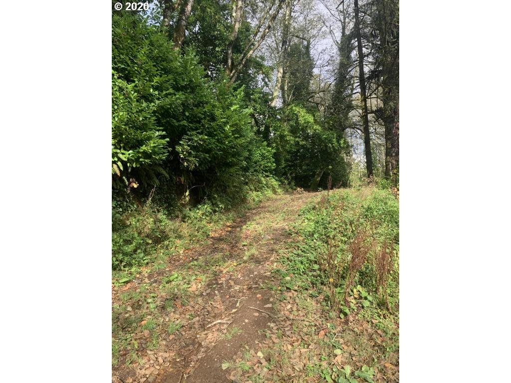 17005 Trask River Road Tillamook, OR 97141 - Photo 10 of 25