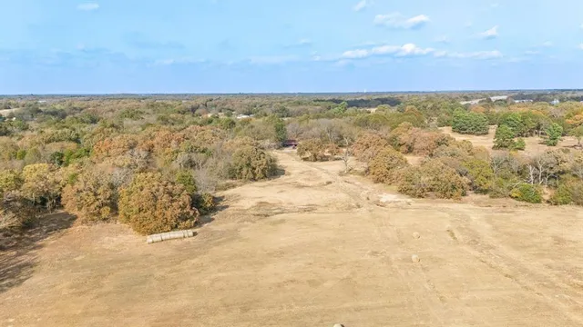 a view of a yard with trees