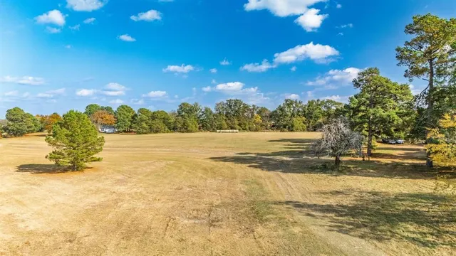 a view of a yard with trees