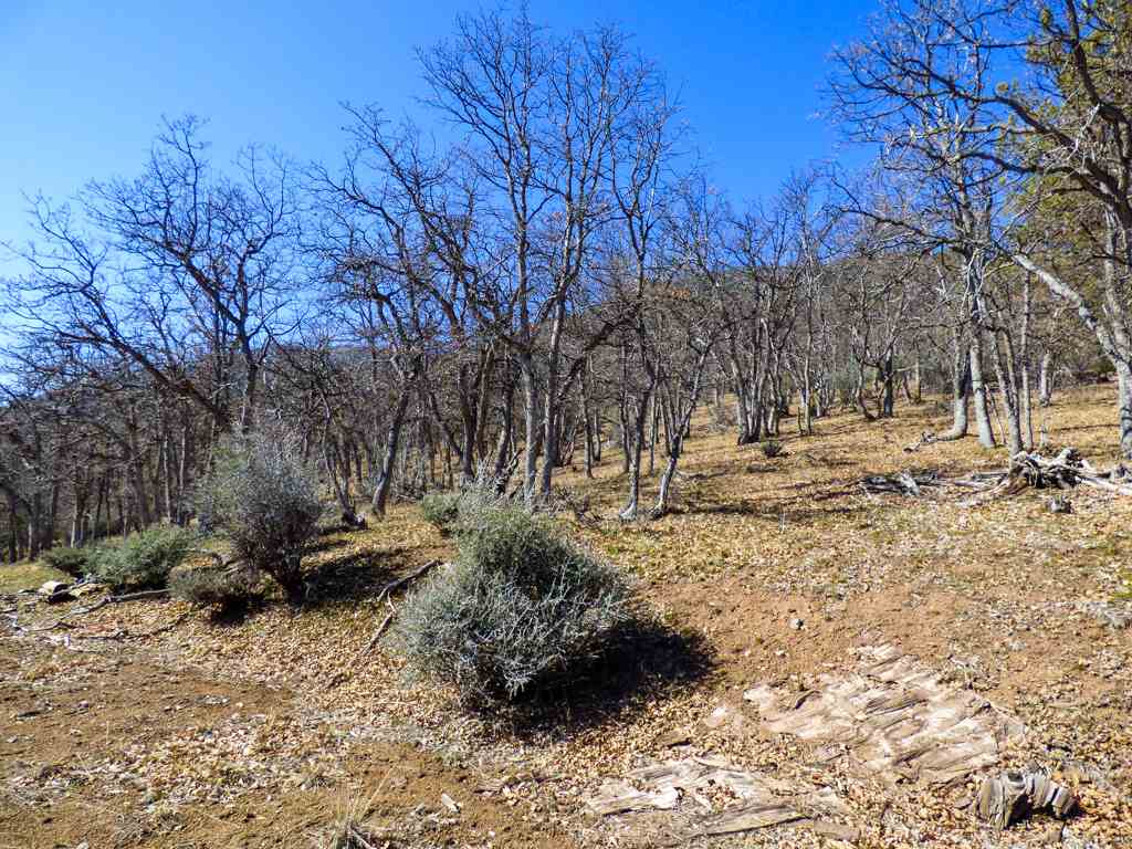 0 Greenhorn Road Yreka, CA 96097 - Photo 8 of 27 Gallery Image 8