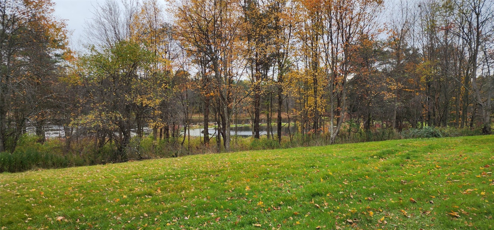 324 Pendell Hill Road Whitney Point, NY 13862 - Photo 7 of 26 Gallery Image 7