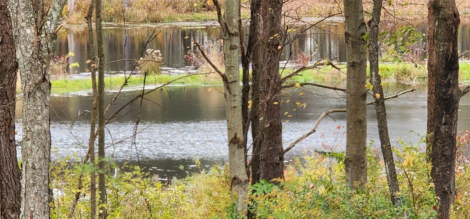 324 Pendell Hill Road Whitney Point, NY 13862 - Photo 8 of 26 Gallery Image 8
