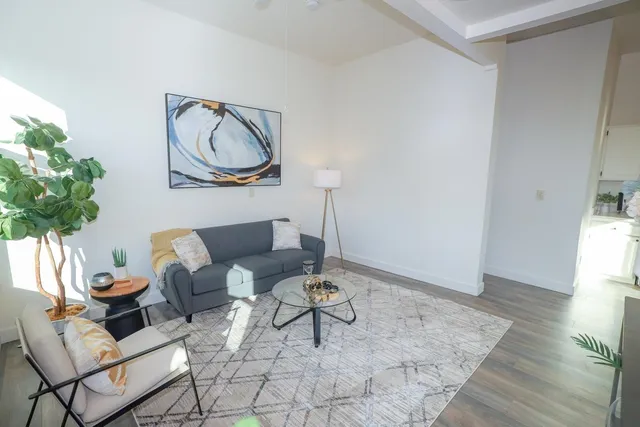 a living room with furniture and a potted plant