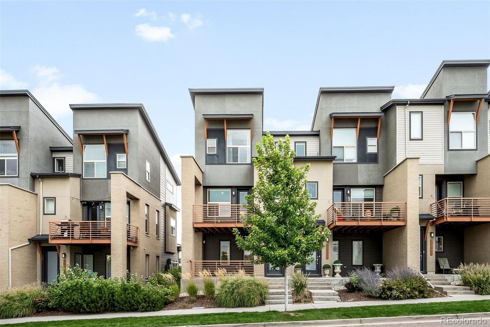 a front view of residential houses with yard