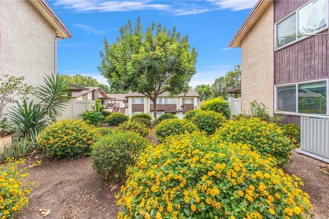 a plant is in front of a door