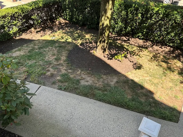 $2,795 | 10 Haviland Street, Norwalk, CT 06854