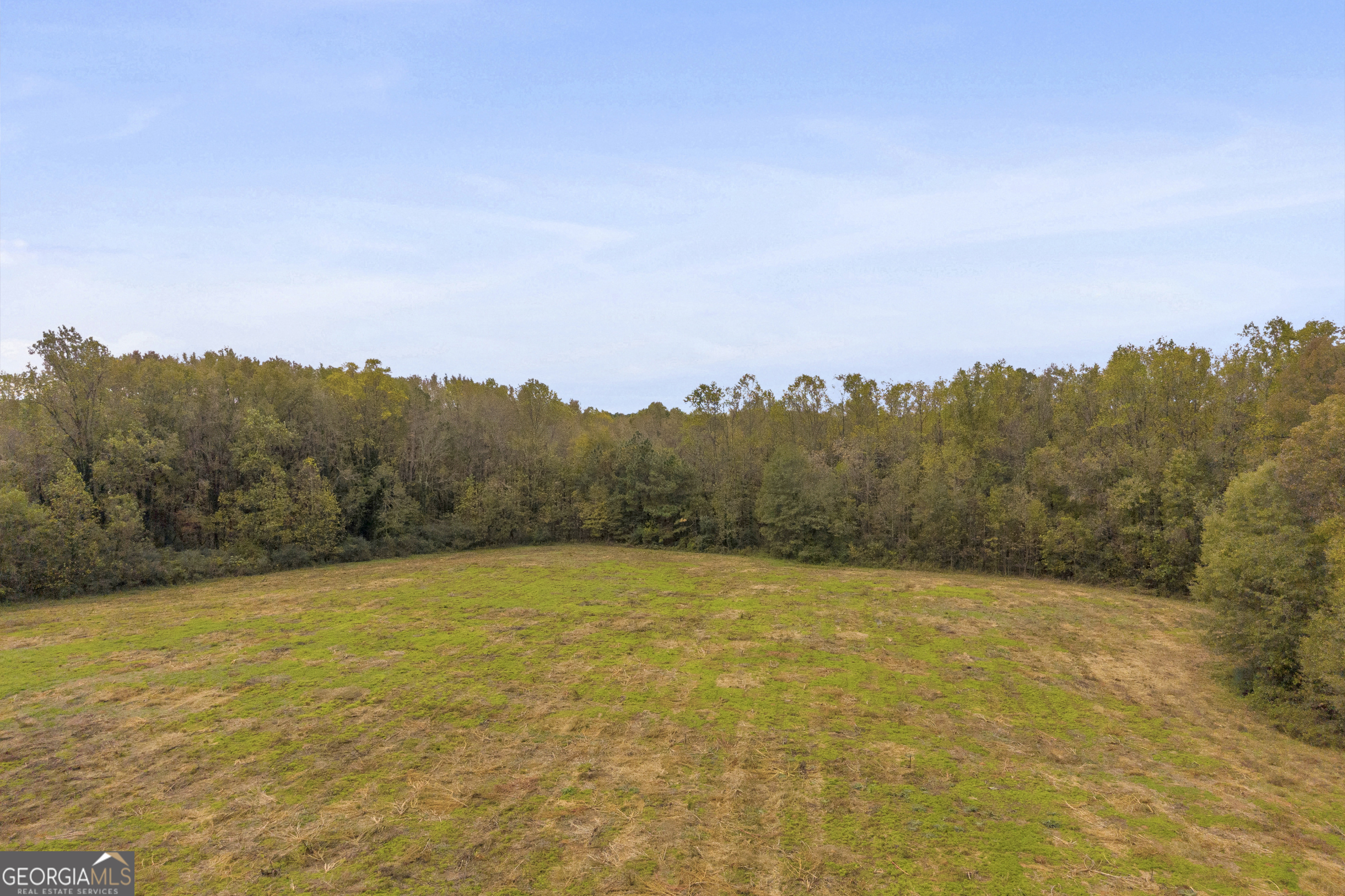 0 Airline School Road, Unit TRACT 7 Bowersville, GA 30516 - Photo 27 of 37 a view of lake view with mountain