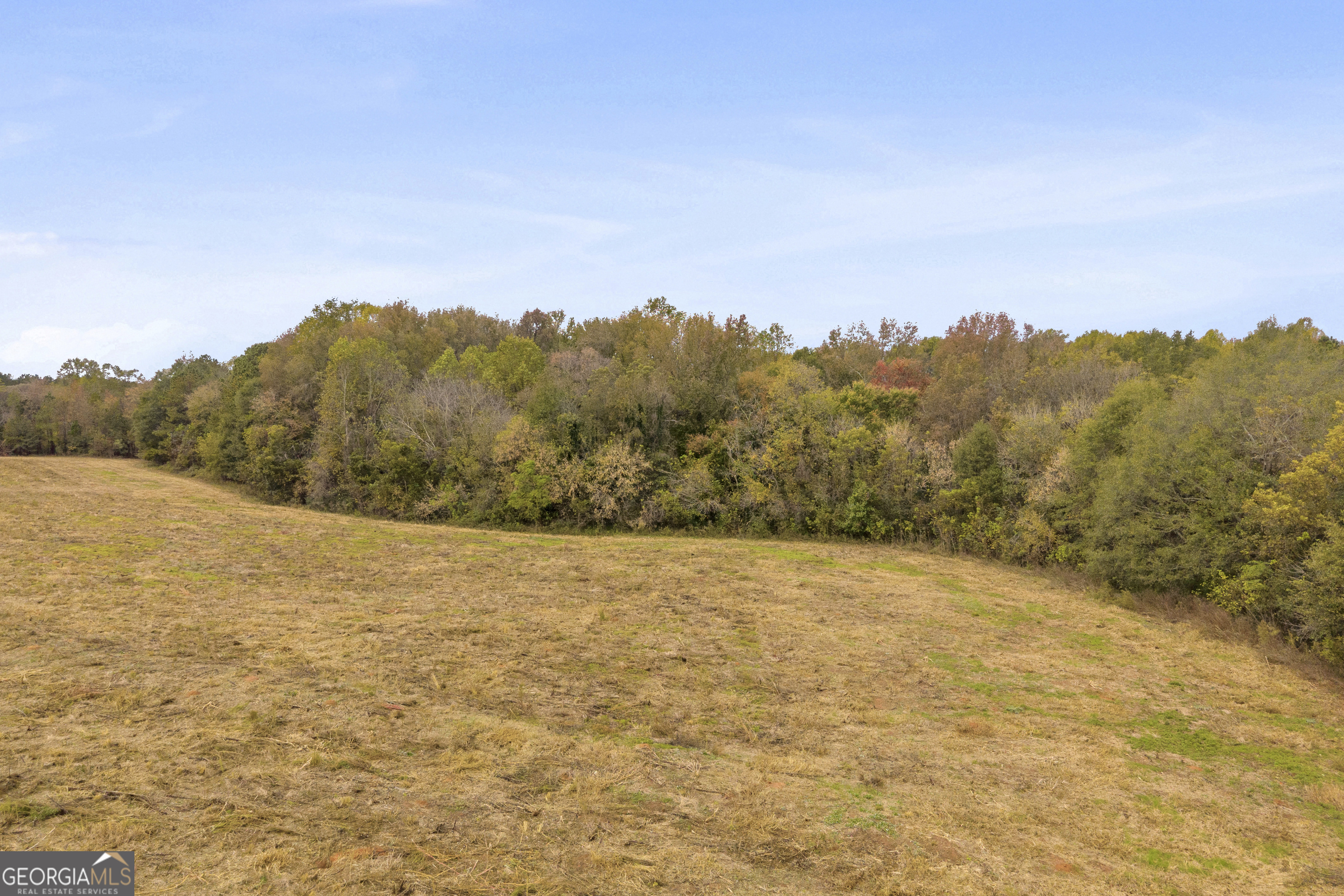 0 Airline School Road, Unit TRACT 7 Bowersville, GA 30516 - Photo 33 of 37 a view of big yard with mountain view