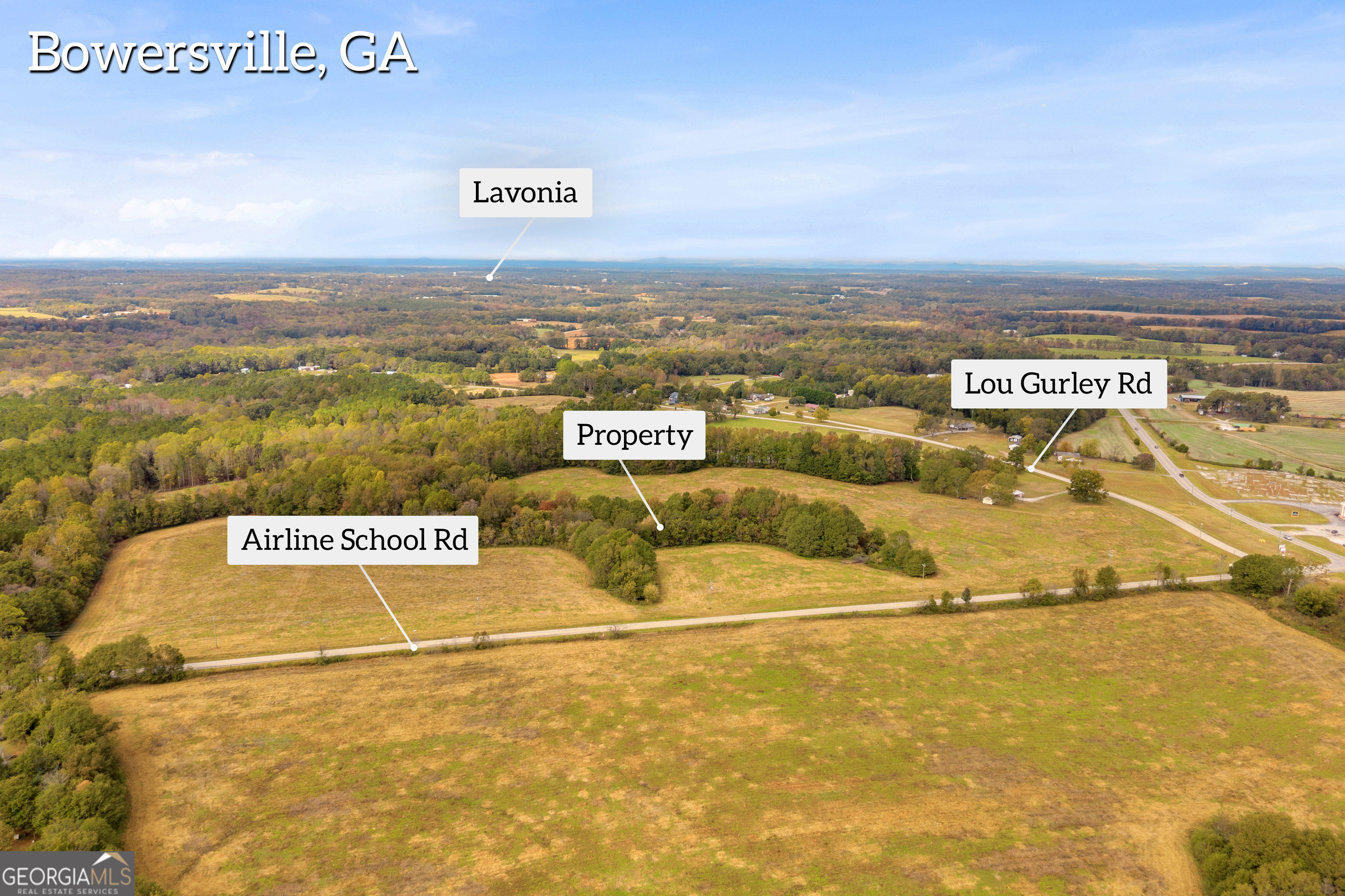 0 Airline School Road, Unit TRACT 7 Bowersville, GA 30516 - Photo 9 of 37