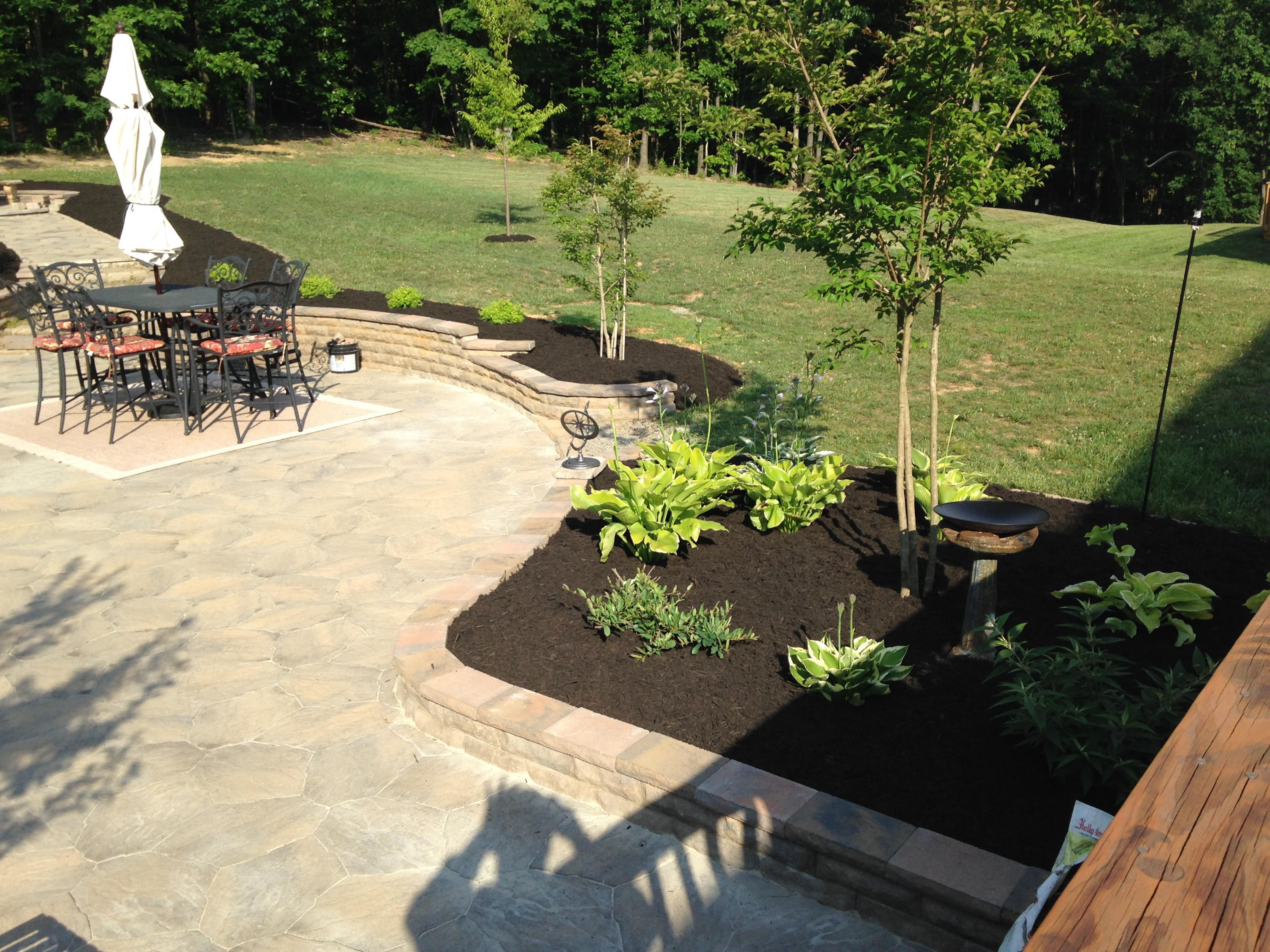850 Thornblade Way Blue Ridge, VA 24064 - Photo 4 of 43 850 Thornblade back yard 2