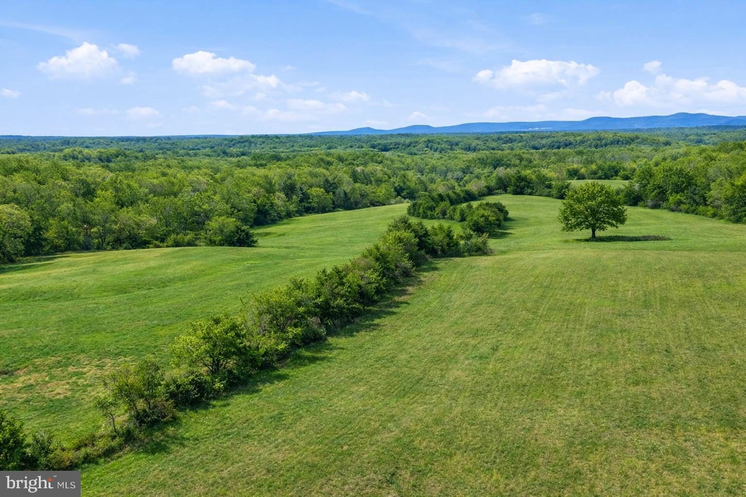 Lot A Trasara Road Rapidan, VA 22733 - Photo 12 of 15