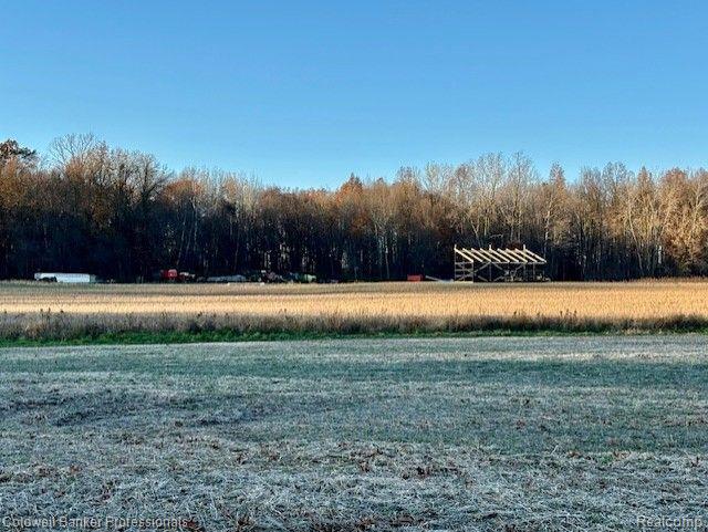 14235 Wanty Road Milan, MI 48160 - Photo 4 of 19