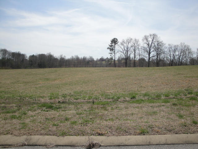 Lot 46 Chippewa Lane Rutledge, TN 37861 - Photo 2 of 2 Lot 46