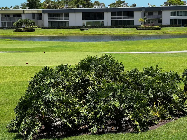 a view of a big yard with a big and trees