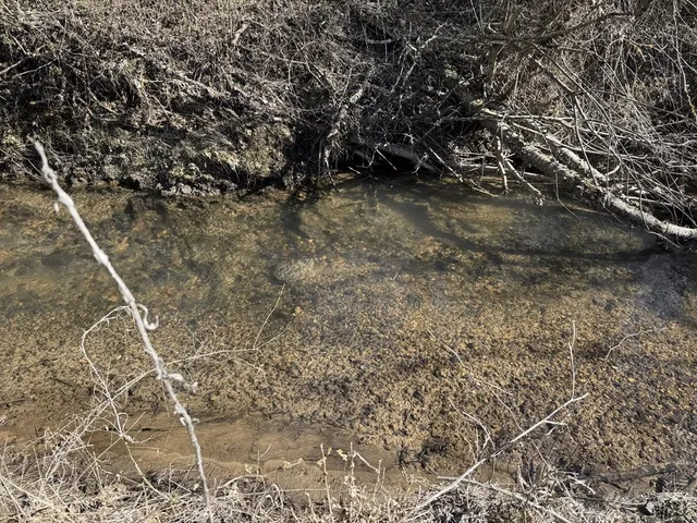 $24,900 | 0 Heaton Road, Marble, NC 28905