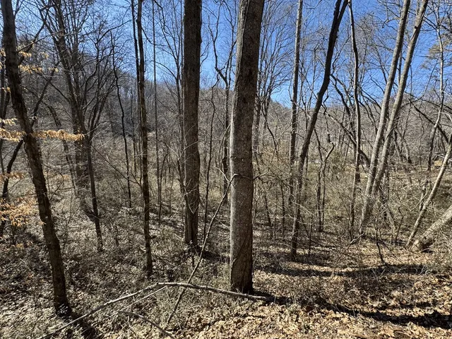 $24,900 | 0 Heaton Road, Marble, NC 28905