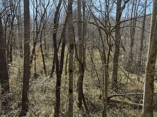 $24,900 | 0 Heaton Road, Marble, NC 28905