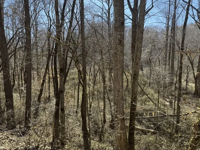 $24,900 | 0 Heaton Road, Marble, NC 28905