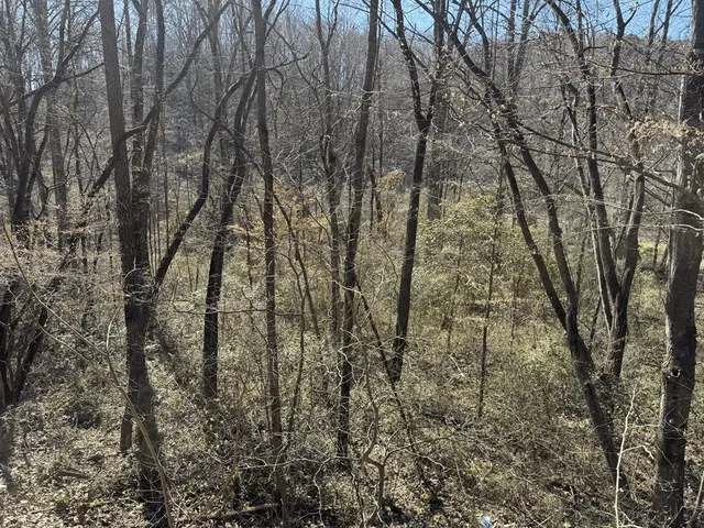 $24,900 | 0 Heaton Road, Marble, NC 28905