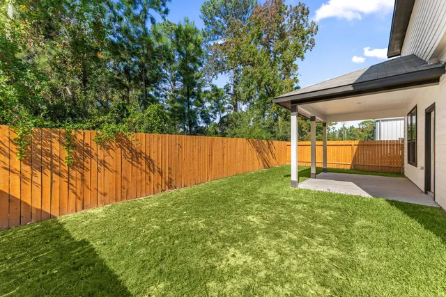 a view of backyard with tree