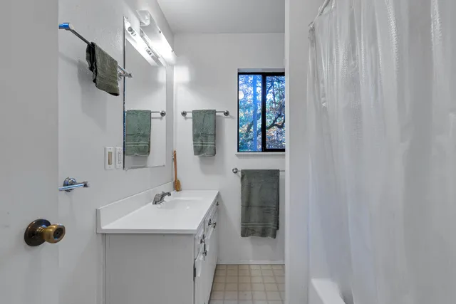 a view of a yard with a tree