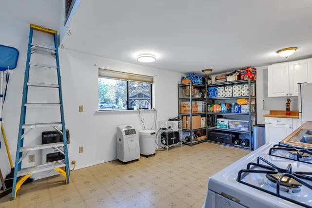 a view of a road with large trees
