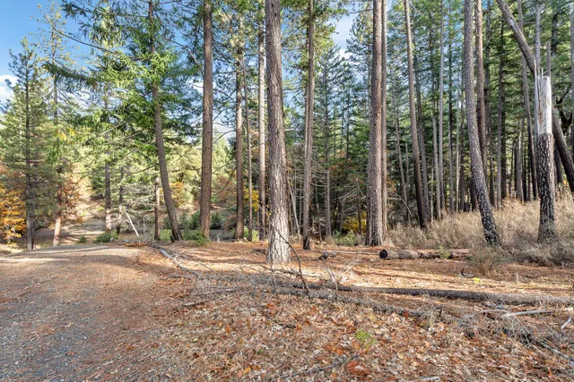 $515,000 | 4000 Fs Road, Hyampom, CA 96046