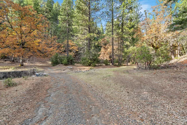 $515,000 | 4000 Fs Road, Hyampom, CA 96046