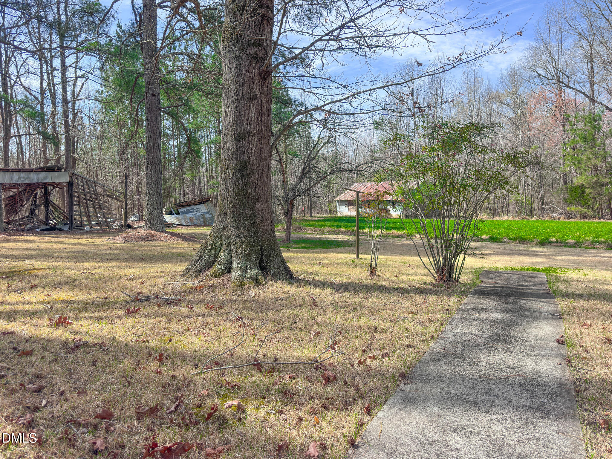 188 Jones Chapel Road Norlina, NC 27563 - Photo 8 of 71 a view of a yard with entertaining space