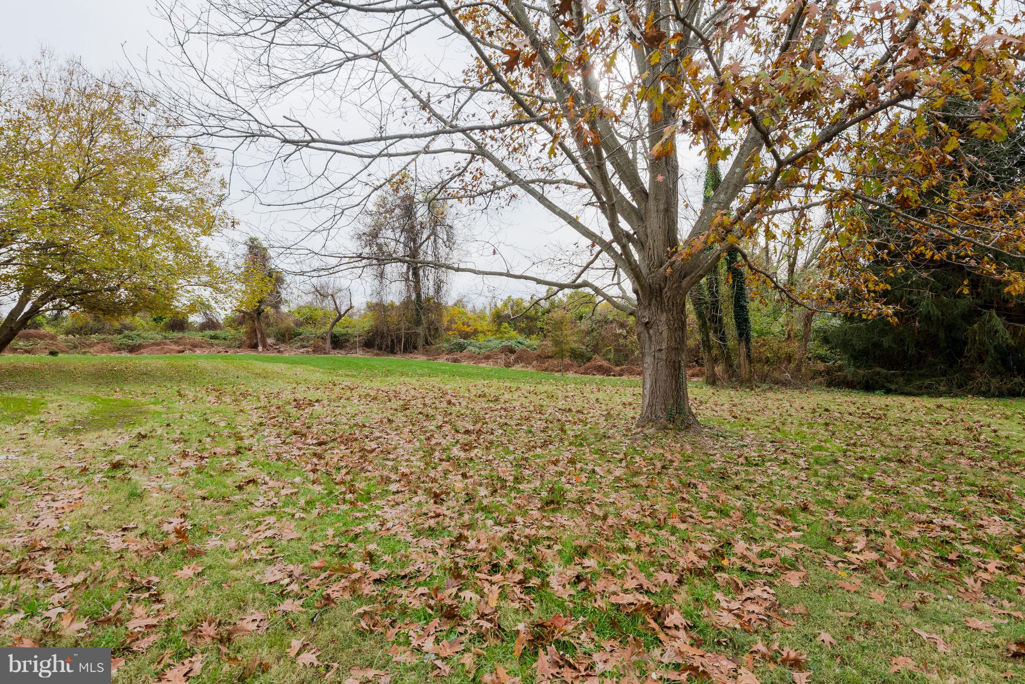 627 Truxton Road Annapolis, MD 21409 - Photo 4 of 48 a view of a yard with a tree