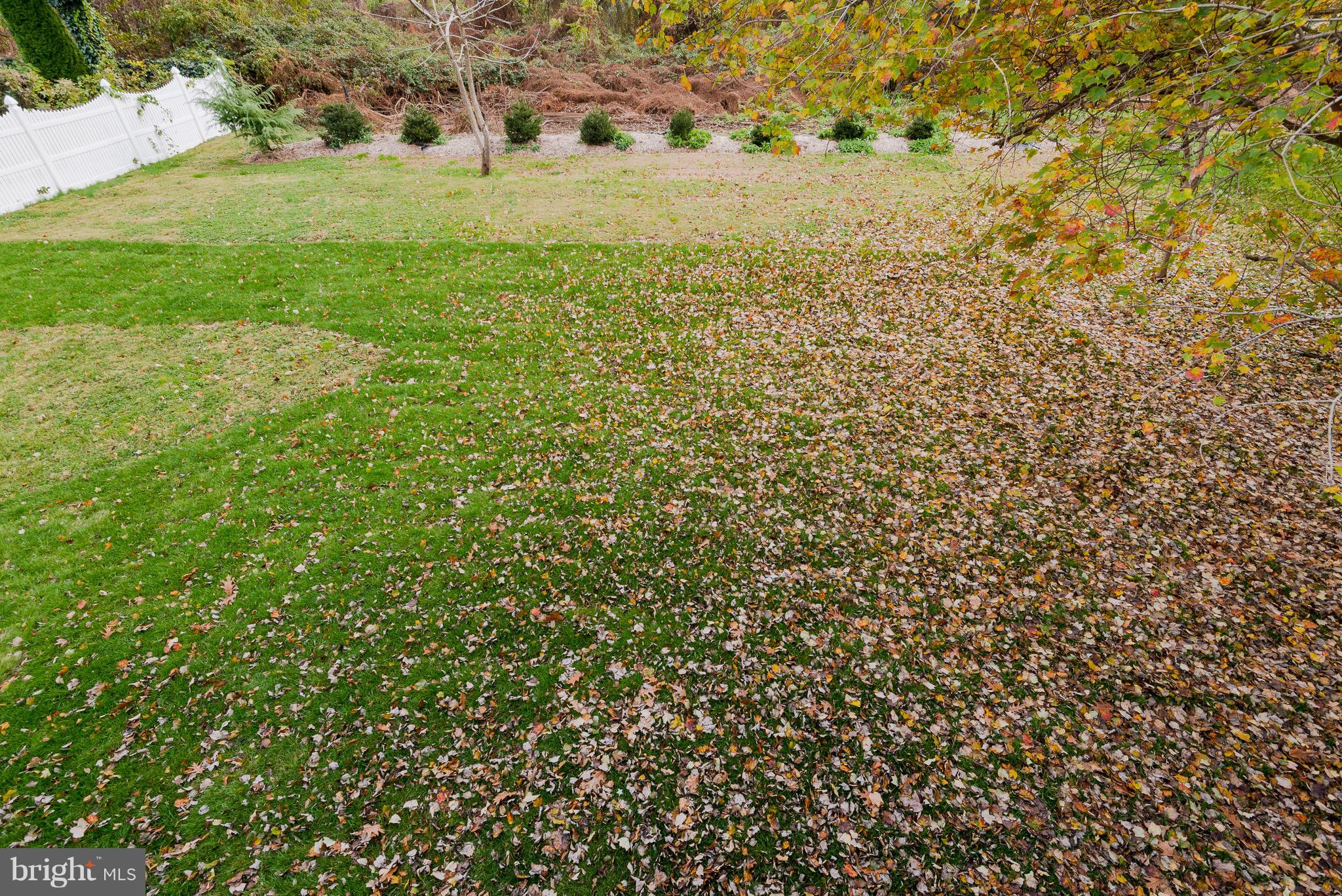627 Truxton Road Annapolis, MD 21409 - Photo 41 of 48 a view of a yard