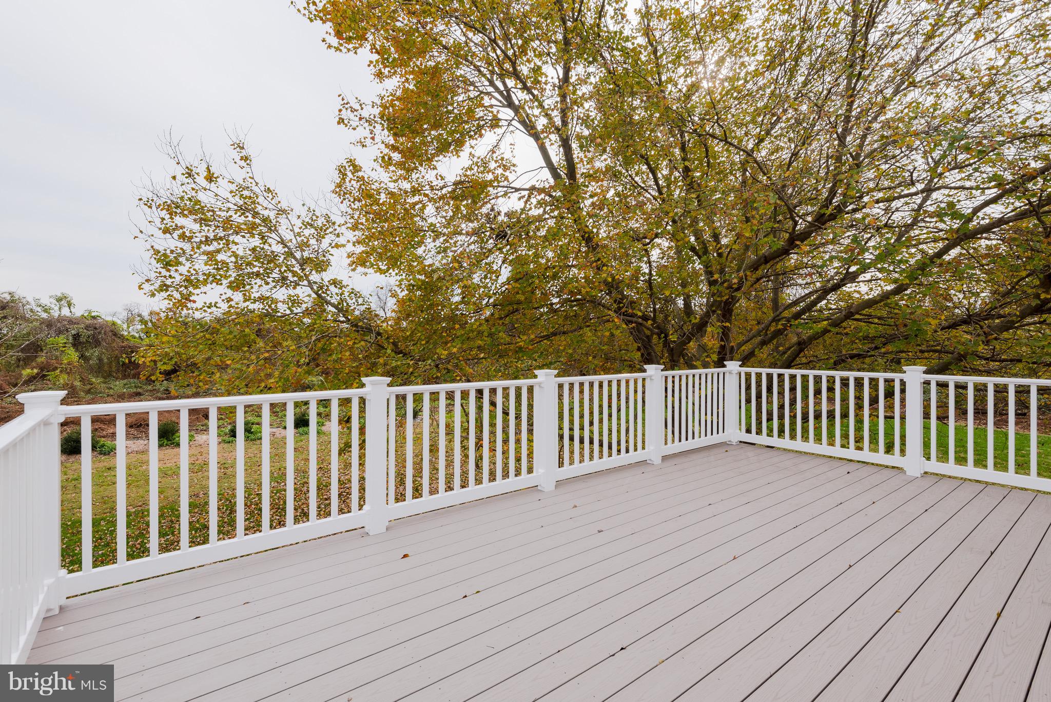 627 Truxton Road Annapolis, MD 21409 - Photo 9 of 48 a view of deck with a large trees