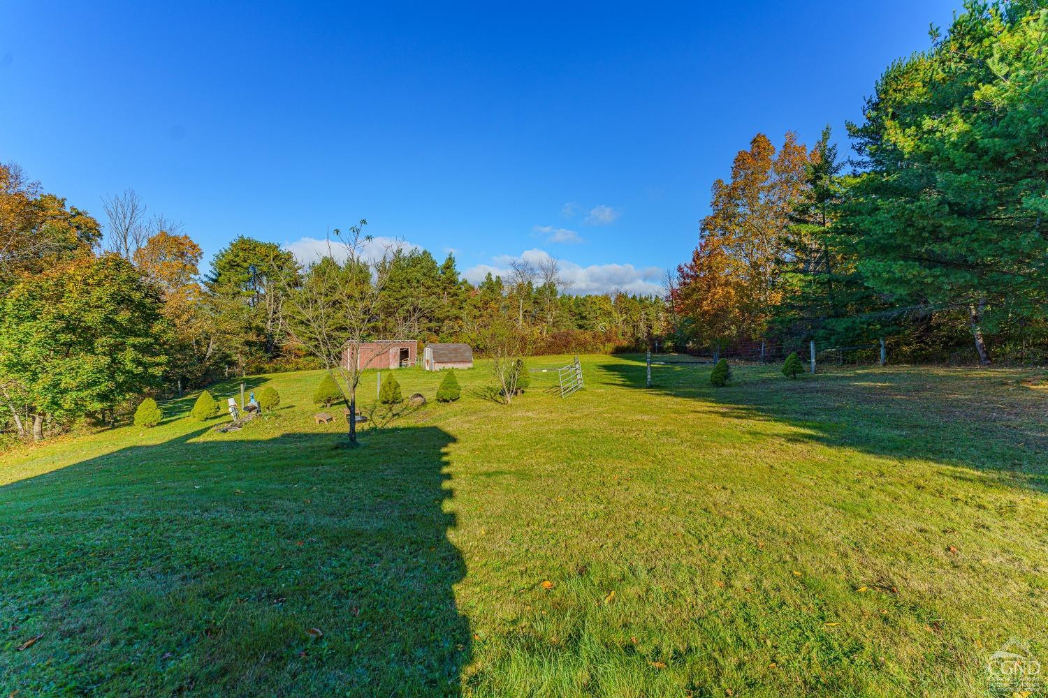 237 Sherwood Road Westerlo, NY 12083 - Photo 40 of 53 Photo 40