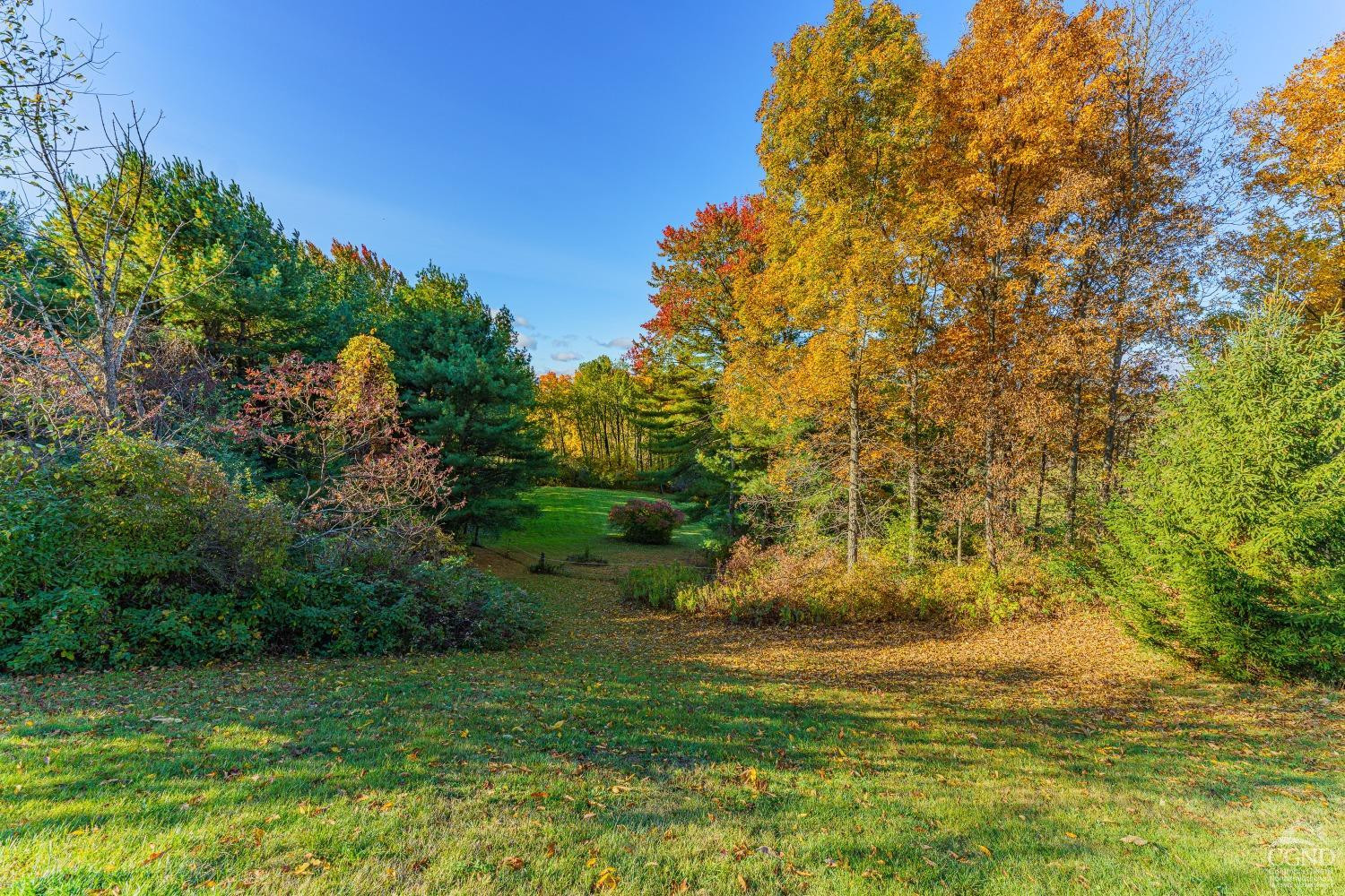 237 Sherwood Road Westerlo, NY 12083 - Photo 44 of 53 Photo 44