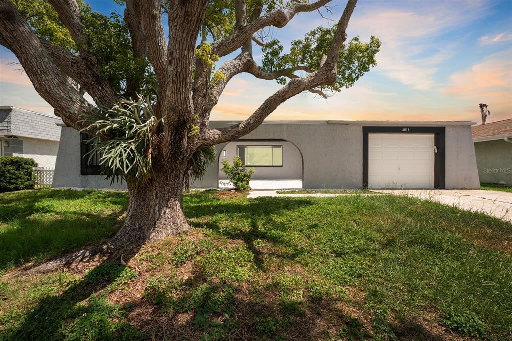 4016 Grayton Drive New Port Richey, FL 34652 - Photo 1 of 40 a view of a house with a yard