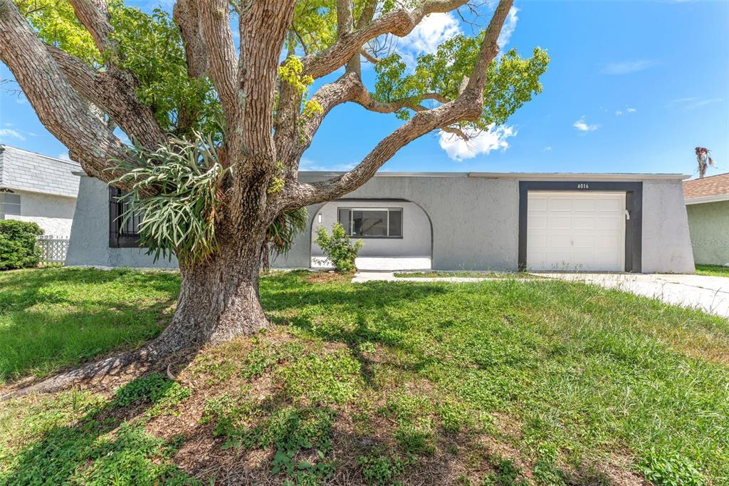 4016 Grayton Drive New Port Richey, FL 34652 - Photo 4 of 40 a front view of a house with garden