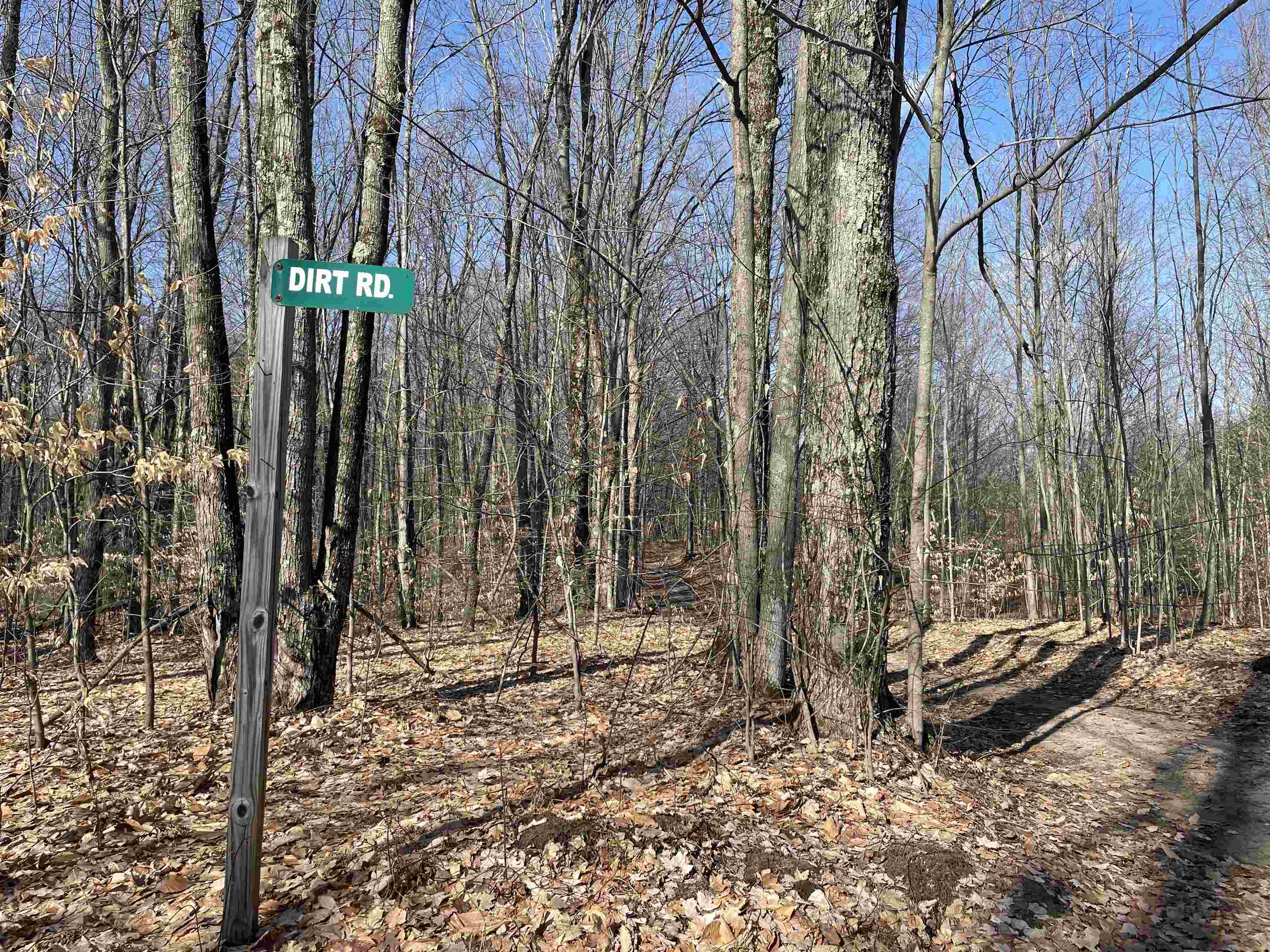 0 Dirt Road Mesick, MI 49668 - Photo 4 of 5 Gallery Image 4