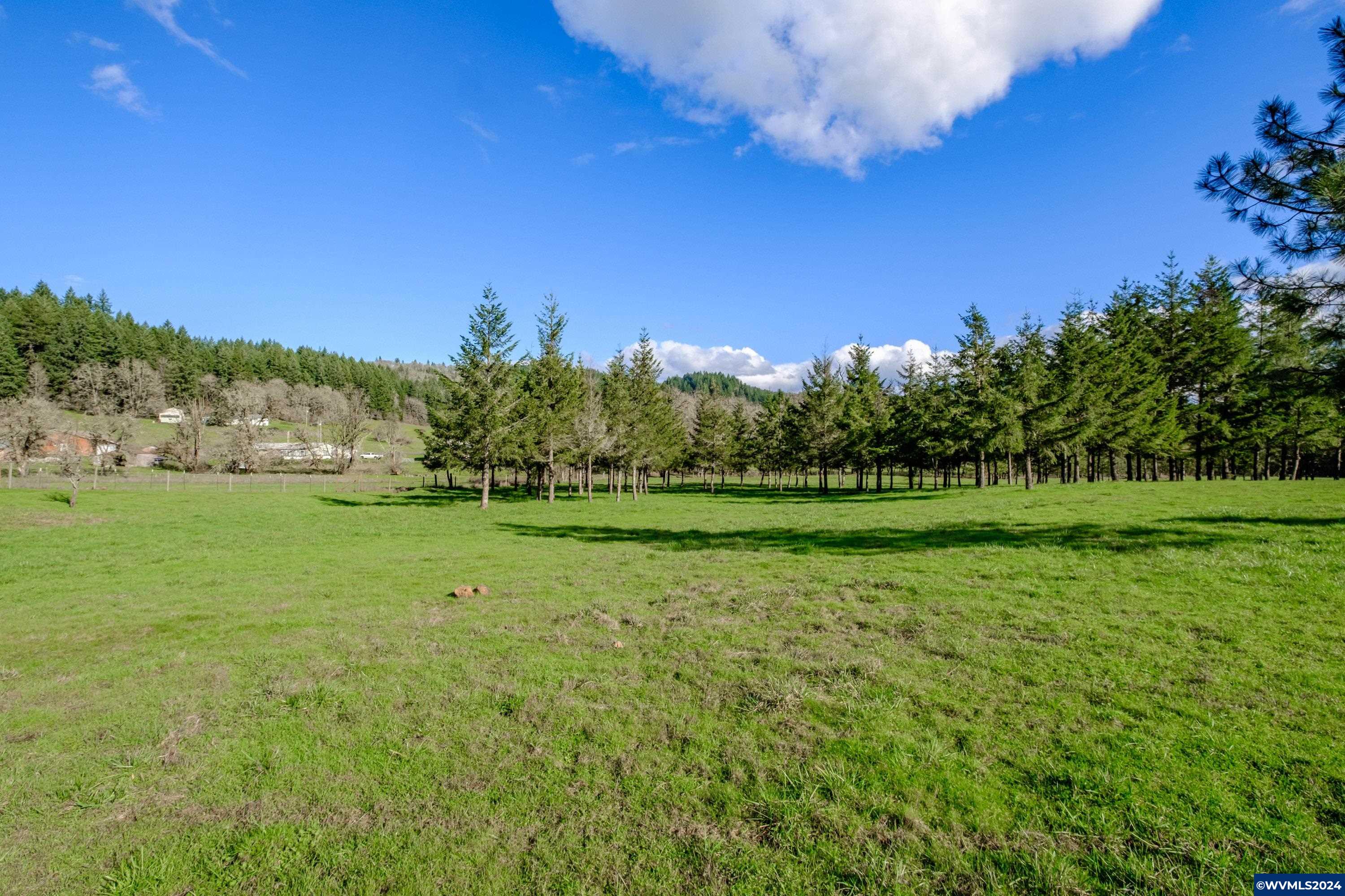 Buck Hill Lane Lebanon, OR 97355 - Photo 28 of 31