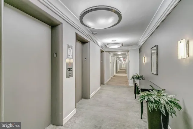 a view of hallway with livingroom and window