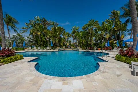 a view of a yard with palm trees