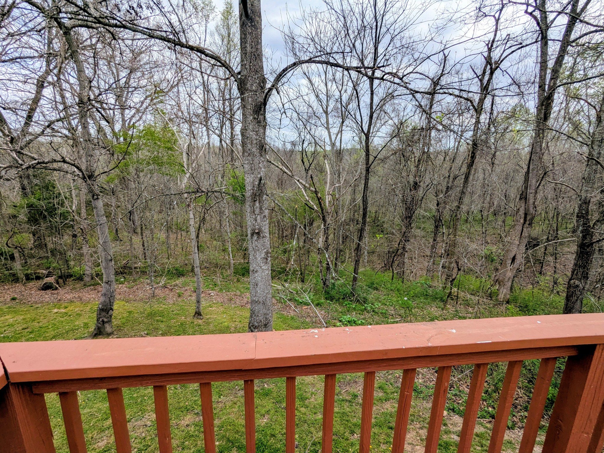 7403 Primm Springs Road Lyles, TN 37098 - Photo 11 of 11