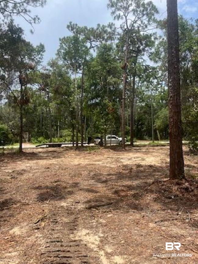 Redfish Point Road Lillian, AL 36549 - Photo 4 of 5