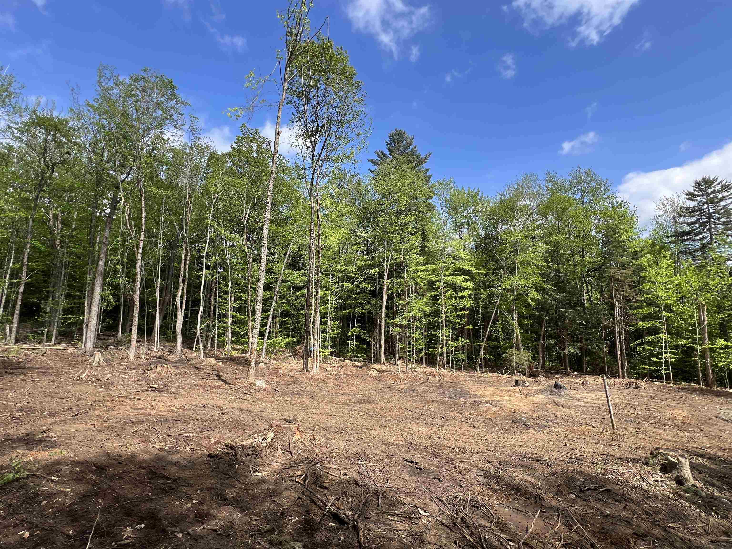 170 Maple Drive Wardsboro, VT 05360 - Photo 11 of 26