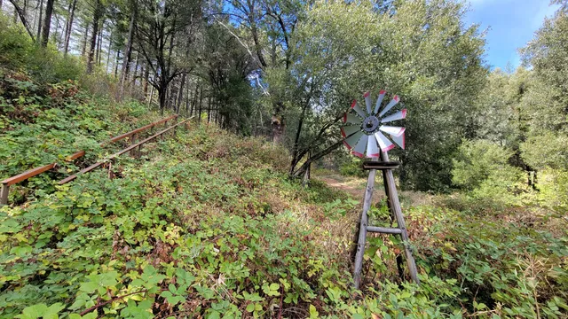 a flag is sitting in the middle of a forest