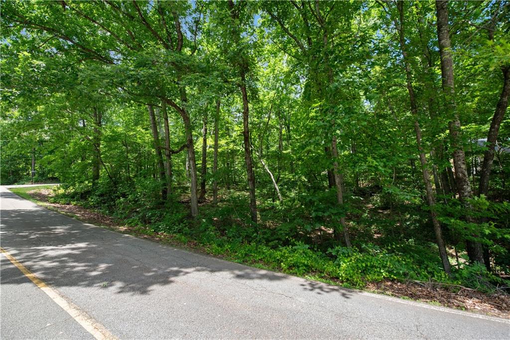 2025 Lakeview Parkway Villa Rica, GA 30180 - Photo 4 of 13 a view of a forest with trees