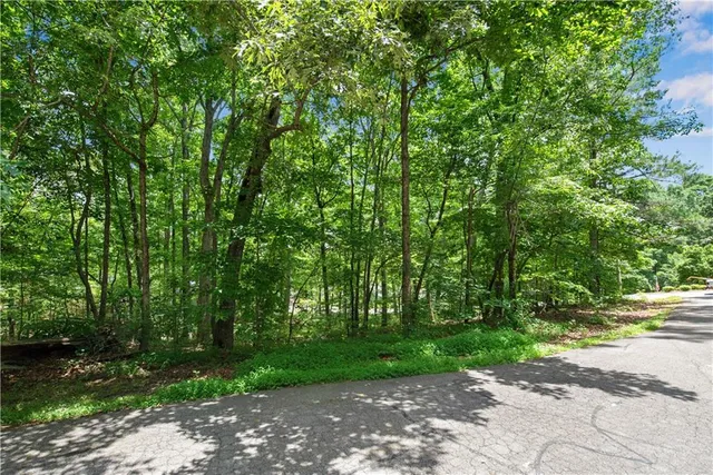 a view of a street with a tree