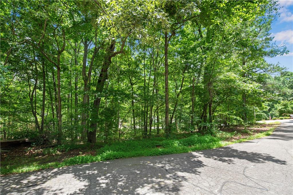 2025 Lakeview Parkway Villa Rica, GA 30180 - Photo 6 of 13 a view of a street with a tree