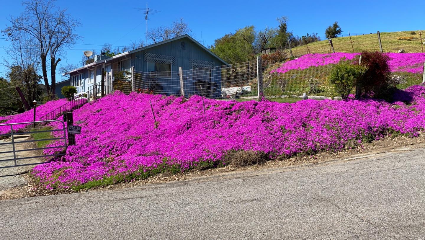 3463 Calaveras Road Milpitas, CA 95035 - Photo 11 of 14