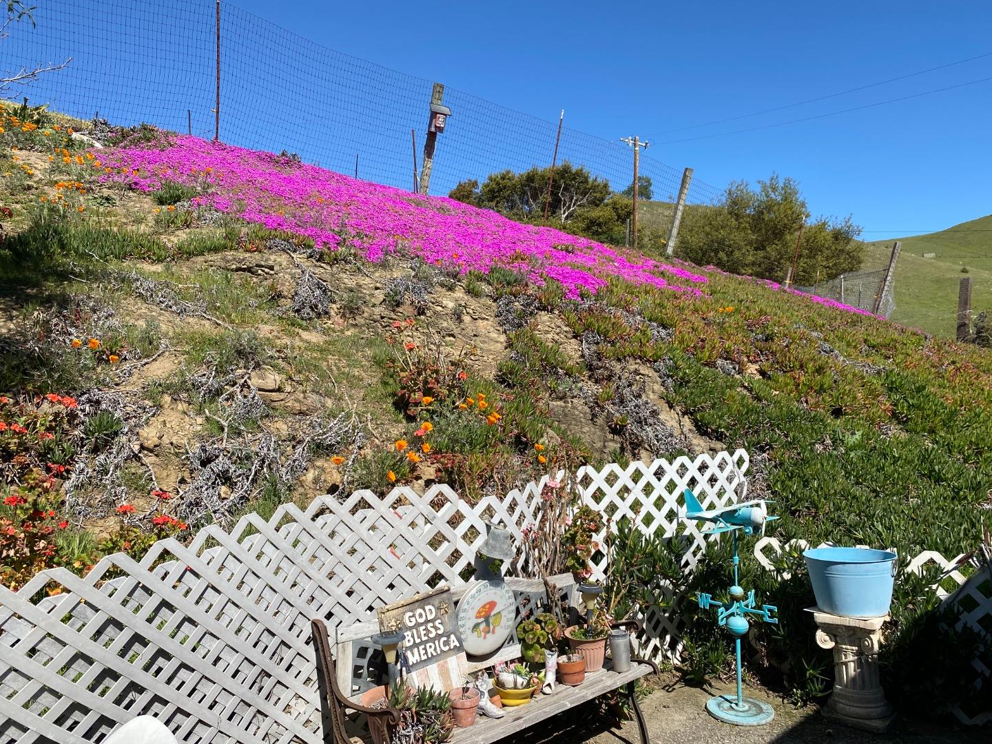 3463 Calaveras Road Milpitas, CA 95035 - Photo 7 of 14 a view of a backyard of the house