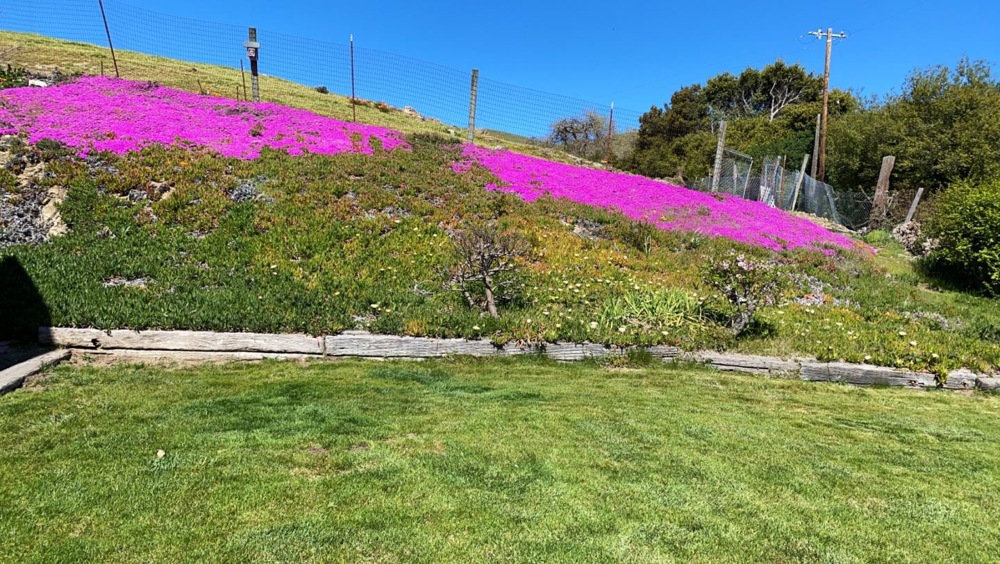 3463 Calaveras Road Milpitas, CA 95035 - Photo 9 of 14 a view of a yard with an umbrella